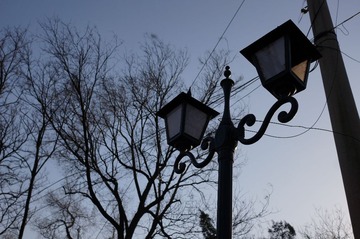 DSC05287.JPG