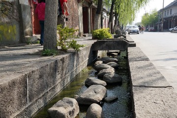 DSC05747.JPG