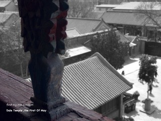 555.jpg