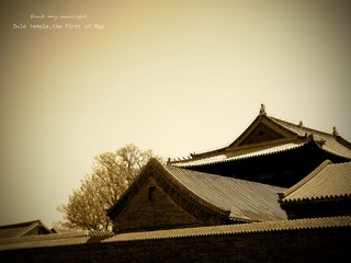 DSCF3129.jpg
