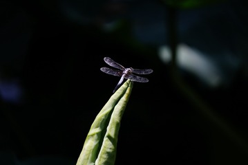 1908987