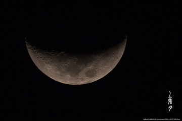 IMG_0769_