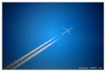 IMG_0301_