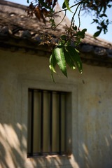 B1020042