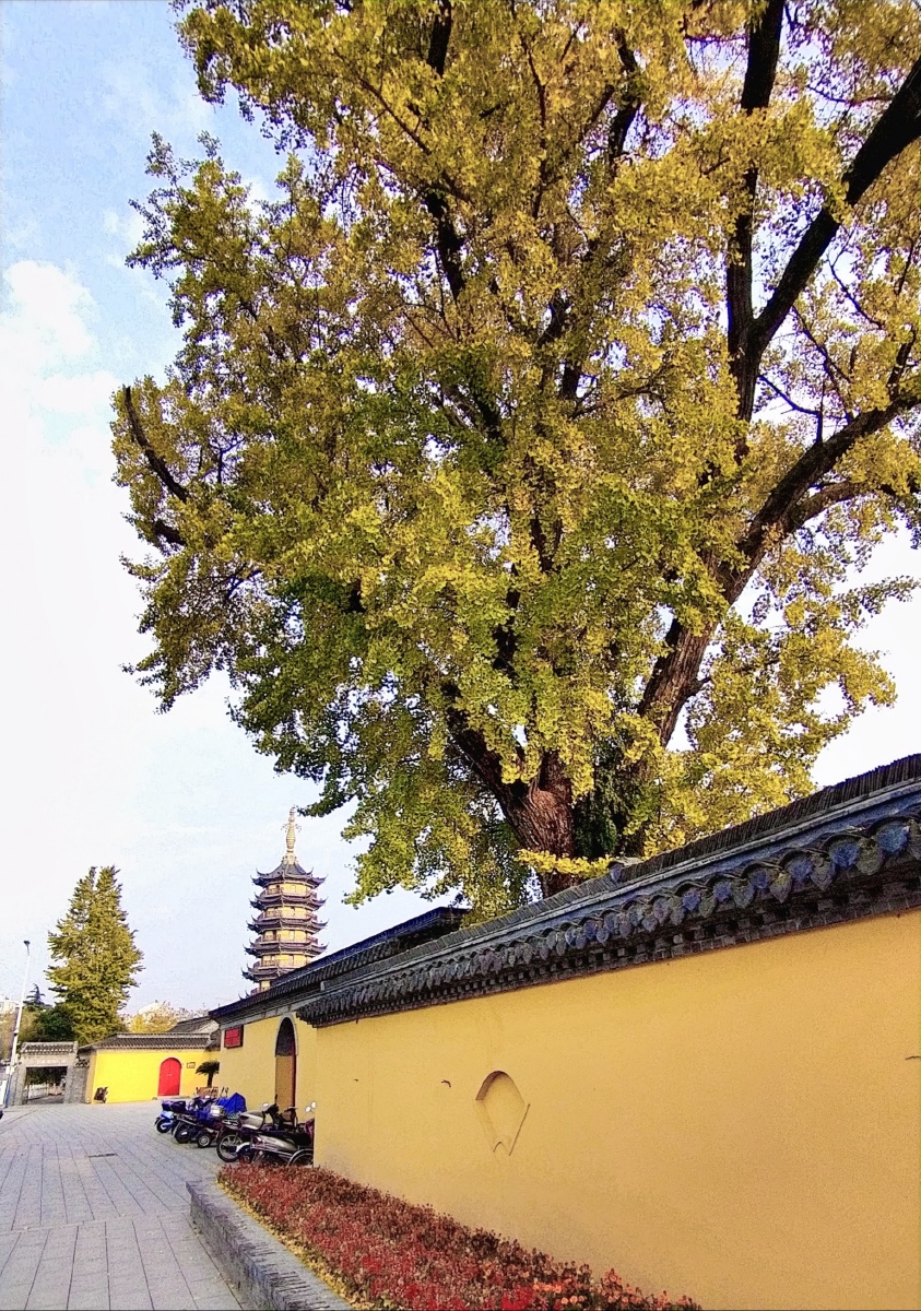 外观如皋定慧寺