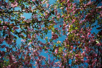 _DSC3680