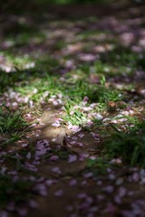 _DSC3767