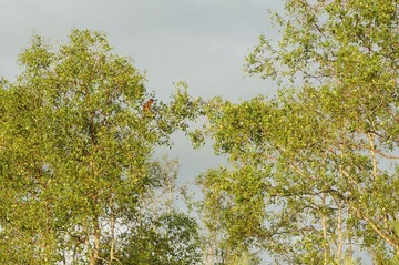 DSC00783.JPG
