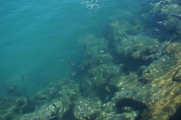 DSC00901.JPG