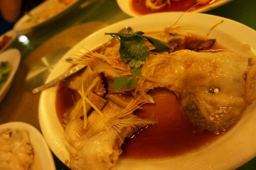 DSC01128.JPG