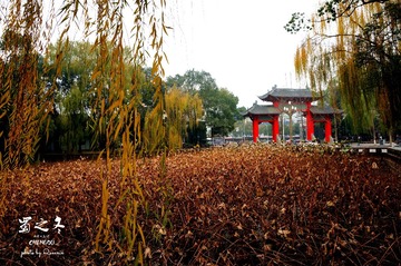 DSC04211_