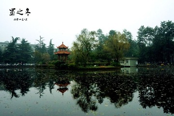 DSC04247_1