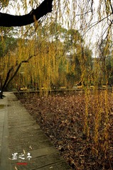 DSC04204_1