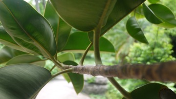 P1120150