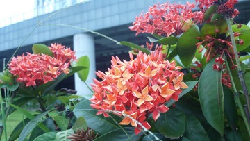 P1120166