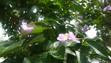 P1120204