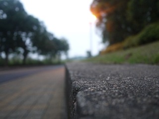 P1050638.JPG