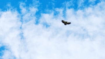 491502
