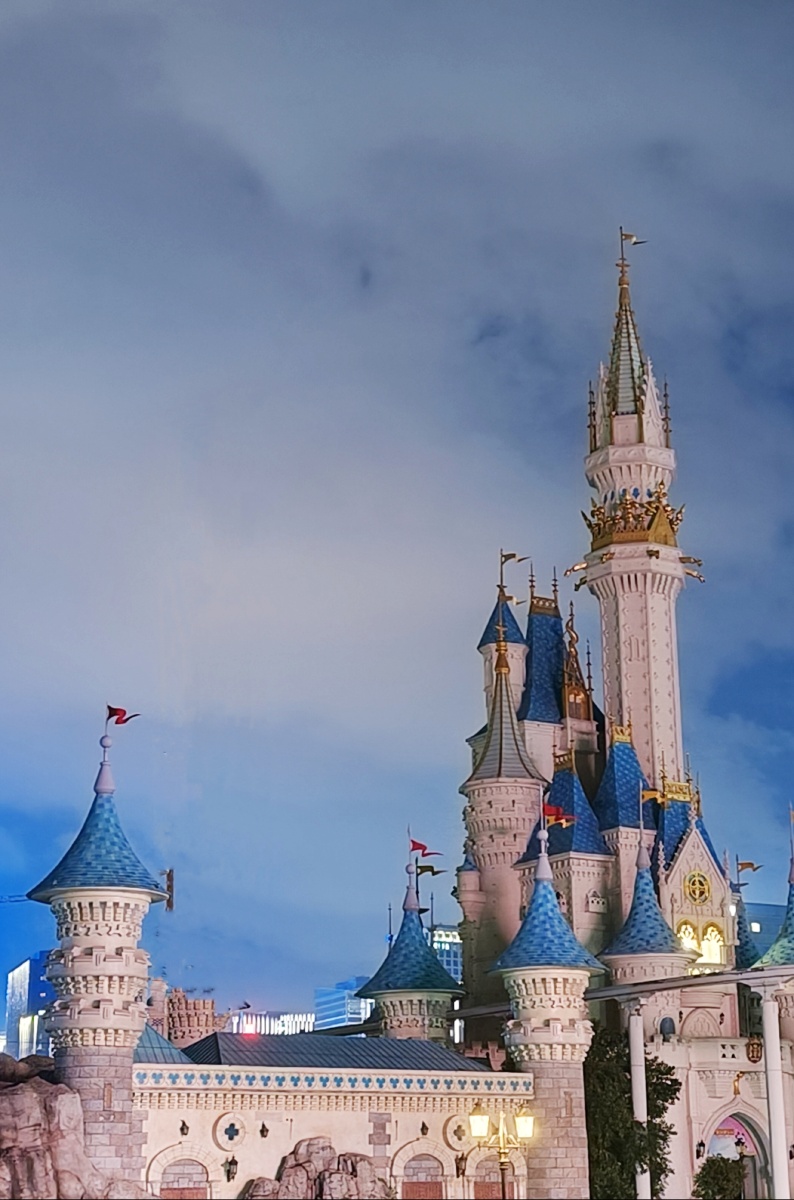 宁波鄞州罗蒙环球游乐园 - 银叶树 - 图虫