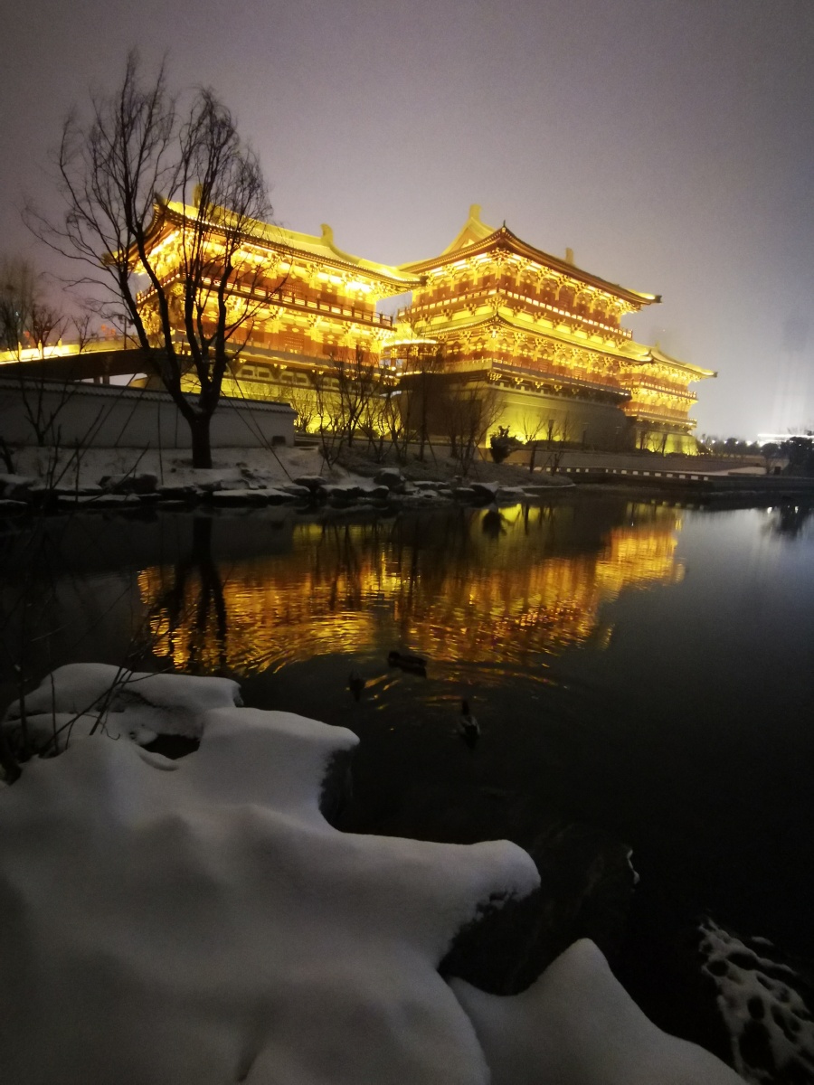 有生之年一定要来一次下雪的洛阳城简直美翻了仿佛穿越千年重回神都拍