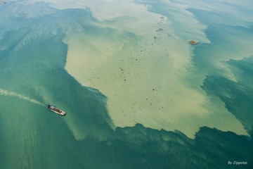 DJI_0388