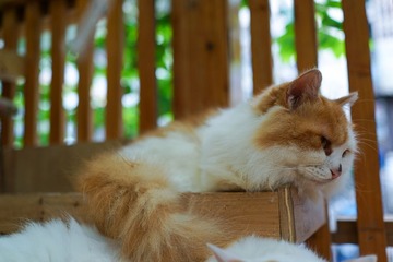 DSC03571.jpg