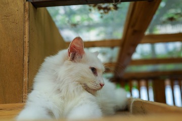 DSC03592.jpg