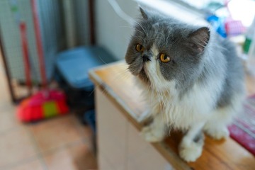 DSC03555.jpg