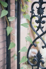 DSCF7378.jpg