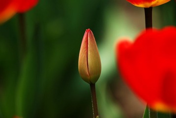 DSC_4237.jpg