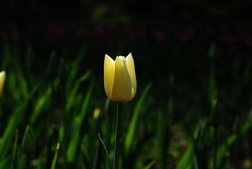 DSC_6801.jpg