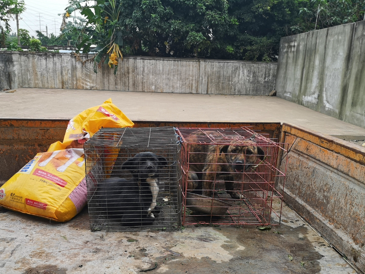 2018年11月5日拉黑1不务正业的彪子哈,老哥,广州那边有项目,我的一半