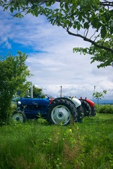 DSC00724-11