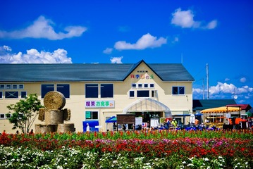 DSC00728-12
