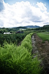 DSC00753-22