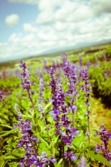 DSC00754-23