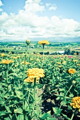 DSC00756-25