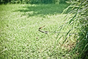 DSC00758-26