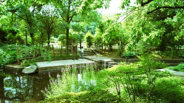 DSC08229-24