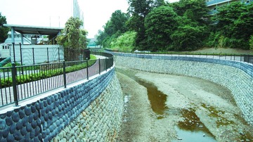 DSC08356-65