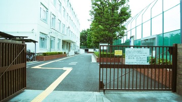 DSC08375-75