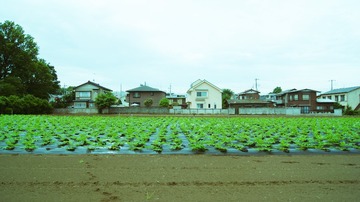 DSC08406-88