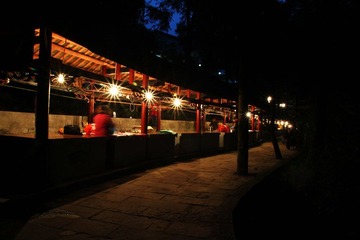 IMG_9341.jpg