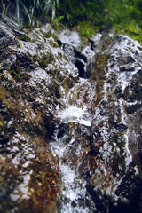 IMG_9382.jpg