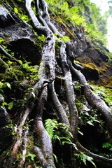 IMG_9387.jpg