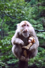 IMG_9399.jpg