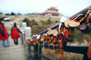 IMG_9595.jpg