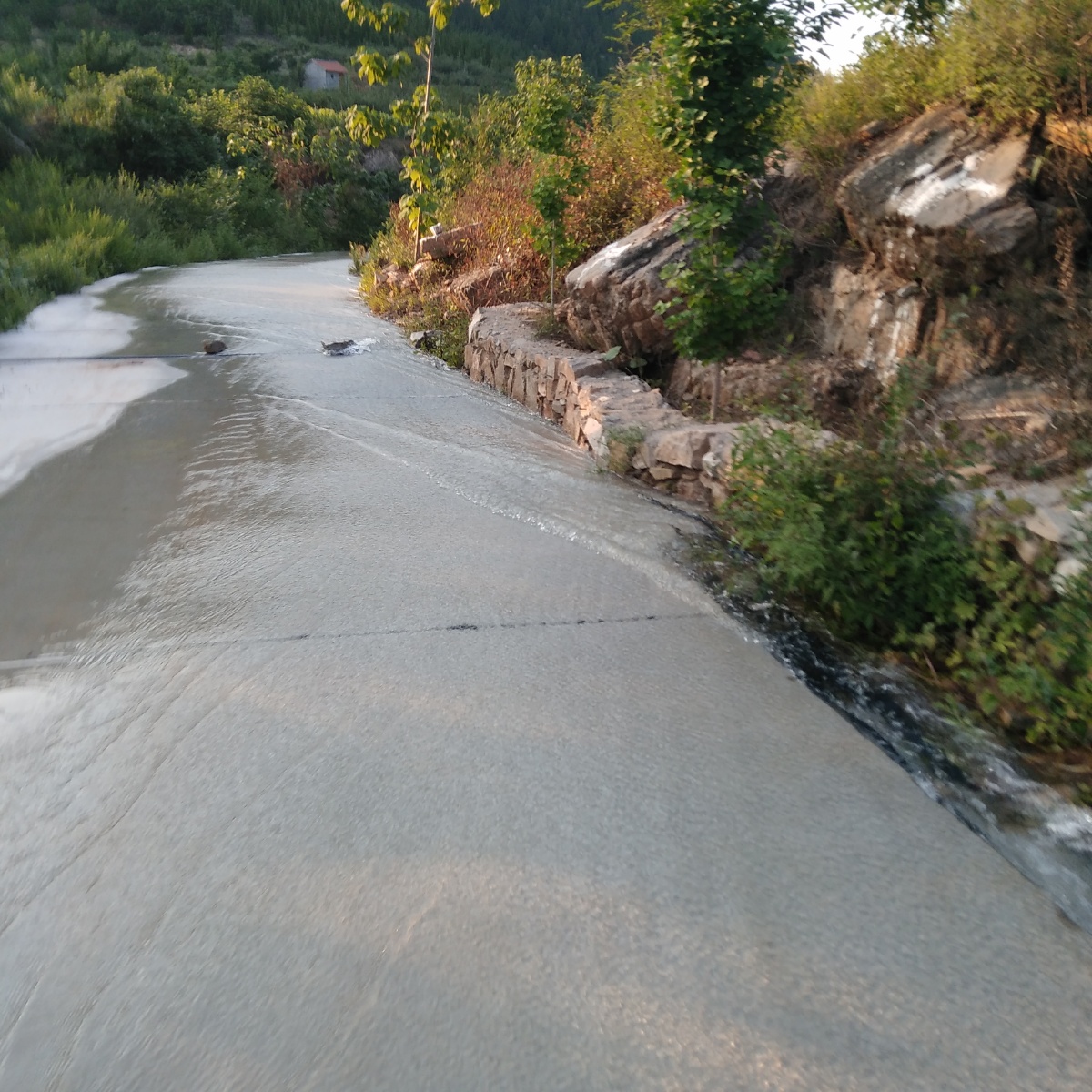 山里的那条老路