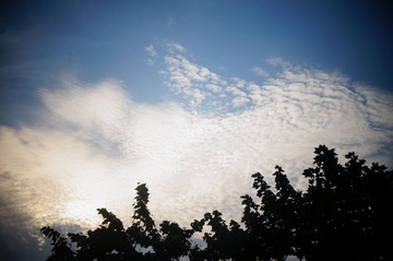 DSC01892.JPG