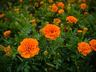 20130704-P1000417.jpg